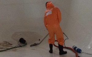 Mold Damage Restoration Cleanup