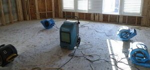 Mold Removal Job In Progress