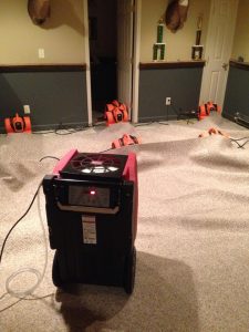 Drying Out A Room During A Mold Remediation Job