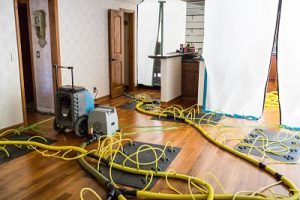 Water Damage And Mold Decontamination In A Residential Property