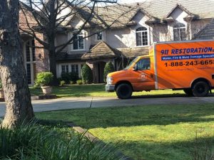 Mold Removal Phoenix