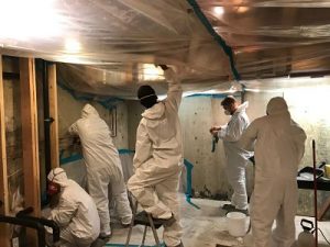 Mold Cleanup Team At Work In A Basement