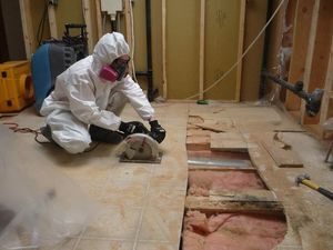 Technician Removing Mold From Under Floorboards