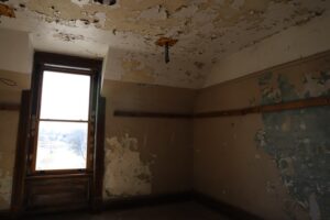 Mold growth without leaky toilet