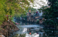  river polluted due to sewage backup